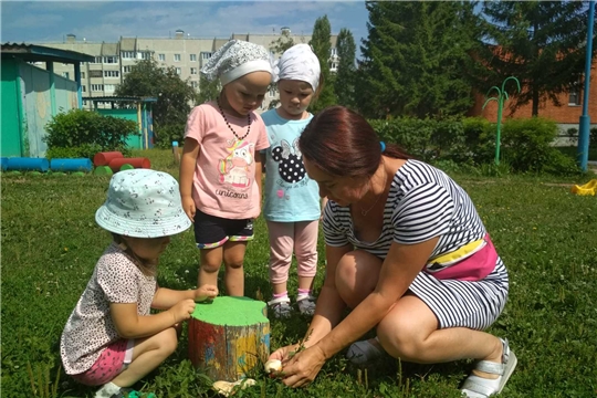 Грибы съедобные и несъедобные