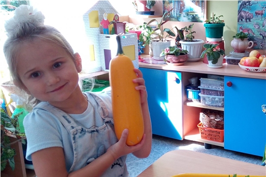Рациональное питание дошкольников