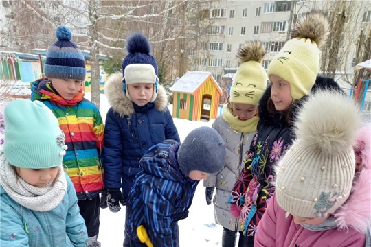 Когда наступает зима...