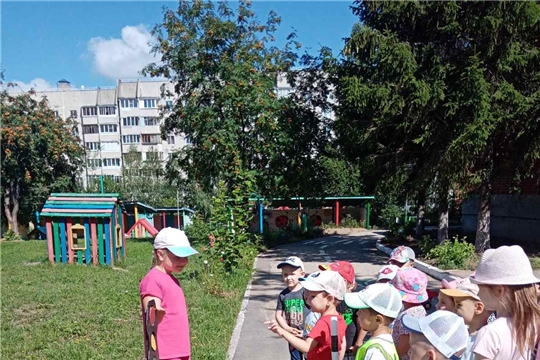 Лето без опасностей!