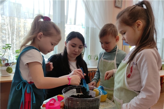 Посадили дети лук