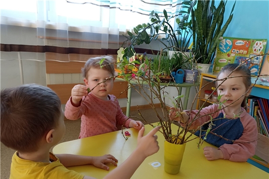 Наблюдение за веточками