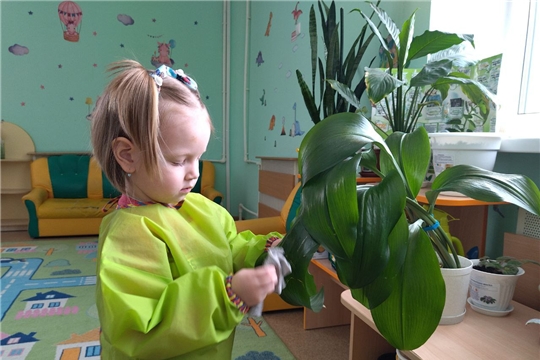 Как мы ухаживали за комнатными растениями