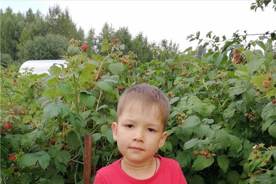 Ягоды в рационе детей