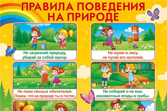 Безопасное поведение на отдыхе с детьми в лесу