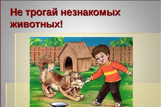 Безопасность на улице