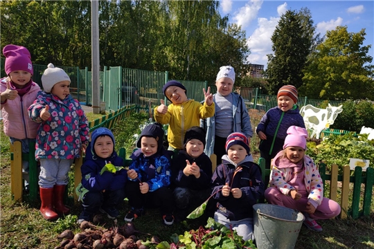 «Свекла – полезный овощ»