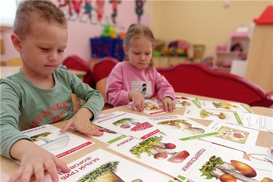 Осторожно, ядовитые грибы