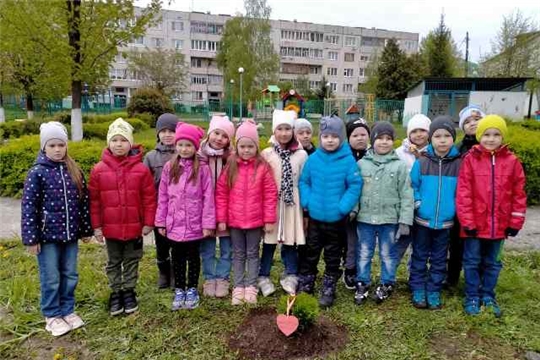 Аллея выпускников