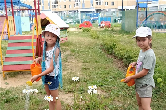 Лето - жаркая пора, а значит самое время заняться поливом цветов на клумбах и овощных культур на грядке.