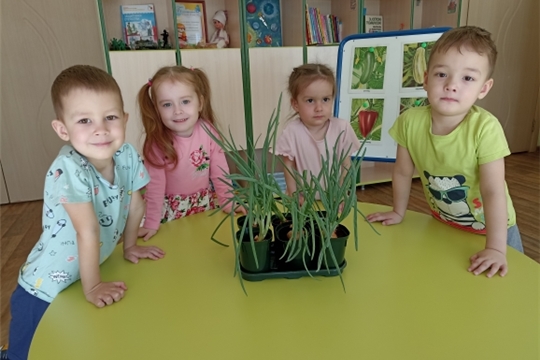 Витамины наши лучшие друзья