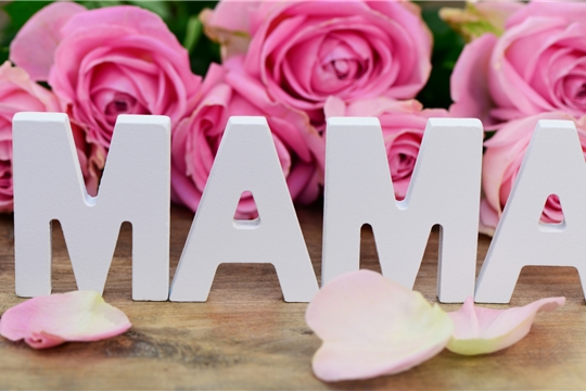  С праздником, дорогие мамы❤️