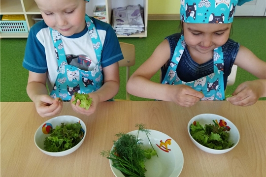 Салат из свежих овощей сделали юные овощеводы