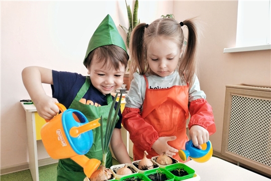 О пользе листовых овощей и зелени