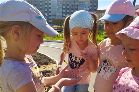 Охрана жизни и здоровья детей во время труда в цветнике и огородном участке