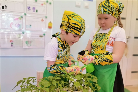 Всероссийский "День Эколят". Мероприятия по защите окружающей среды
