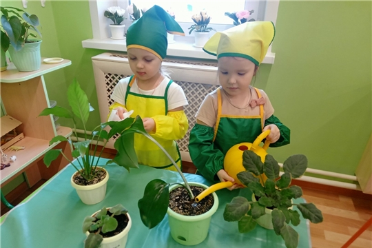 Ухаживаем за комнатными растениями