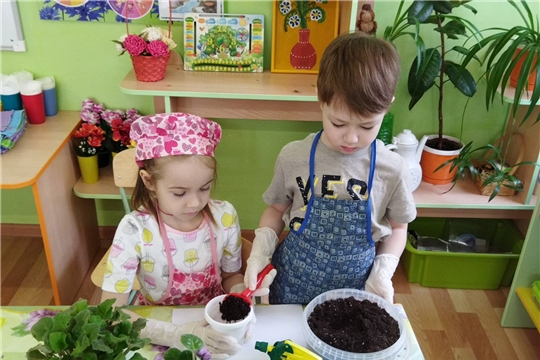 Цветок ветерану