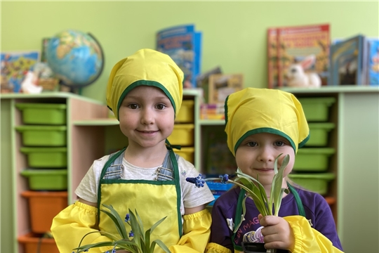 Ухаживаем за растениями