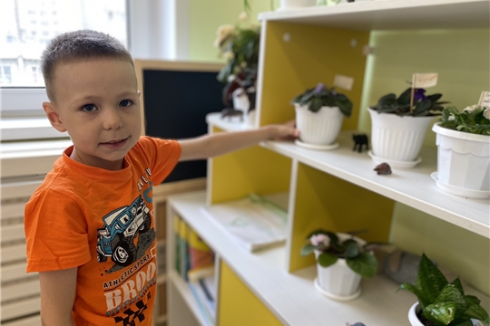 Уголок природы