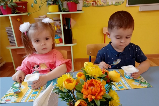 Молочные продукты в питании детей дошкольного возраста