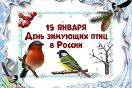 Проект "ТУРИСТиКО": День зимующих птиц