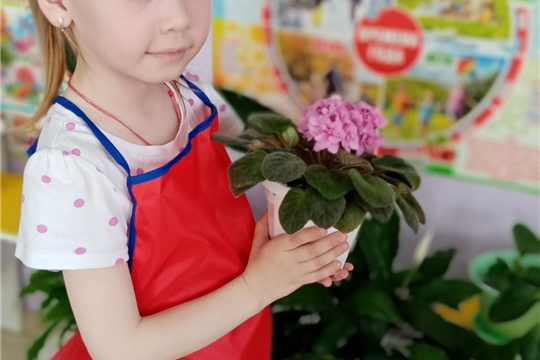 Уголок природы.