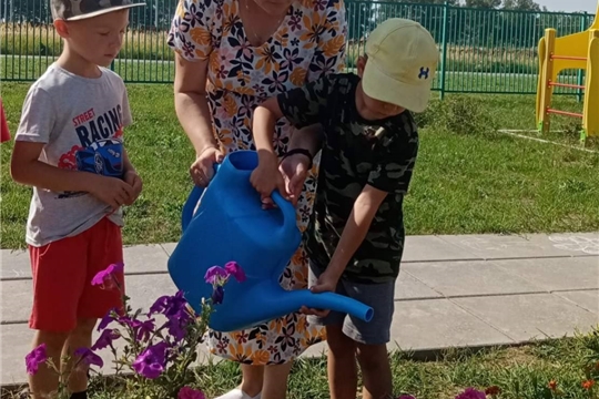 Трудовая деятельность.