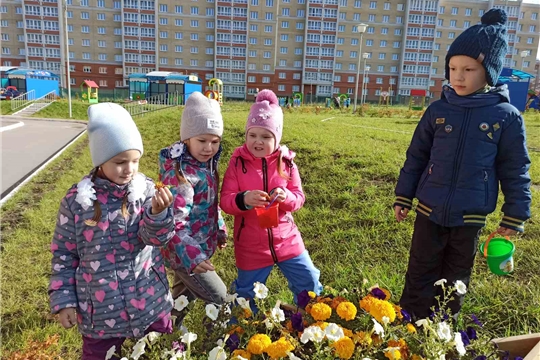 Сбор цветочных семян.