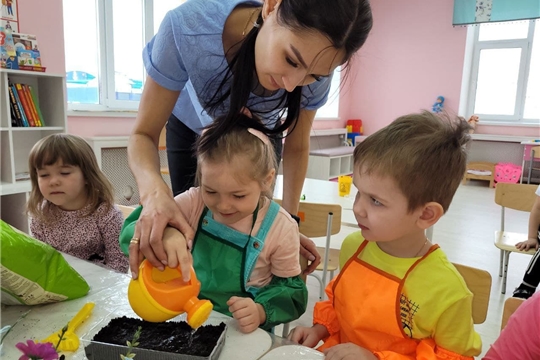 Огород на подоконнике.