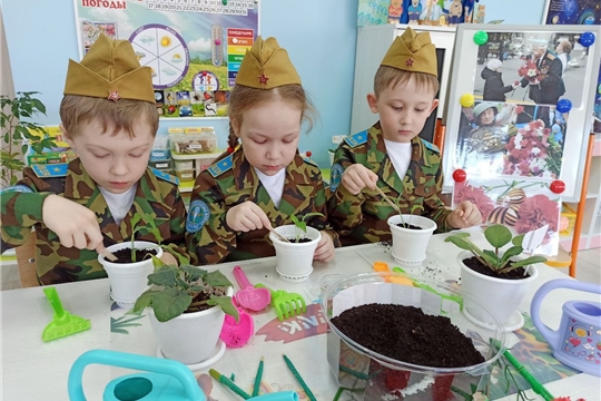 Цветок ветерану. Мы помним.