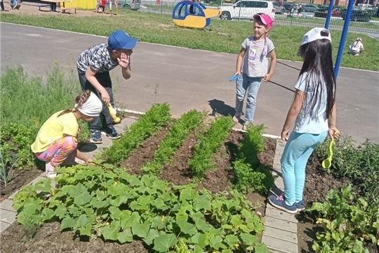 Уход за огородом.