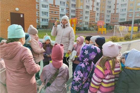 Правила поведения в темное время суток.