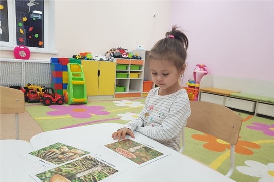 Тематическая неделя "Грибы"