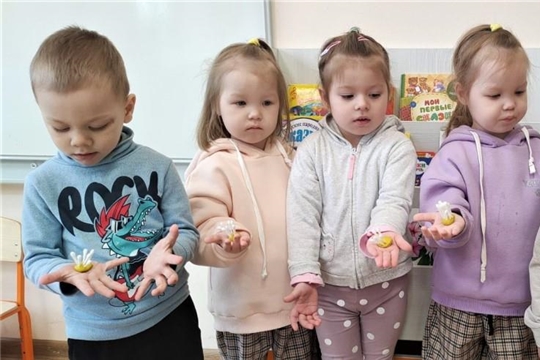Одуванчики