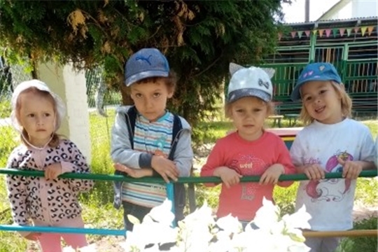Наблюдение за цветами
