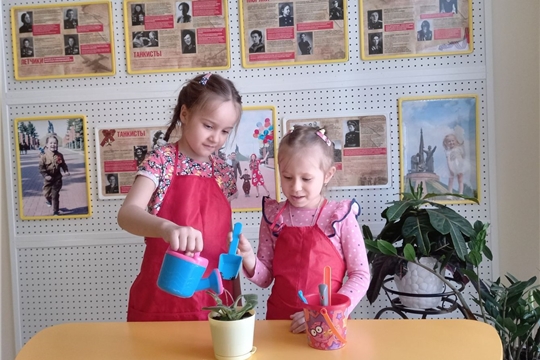 Цветок ветерану.