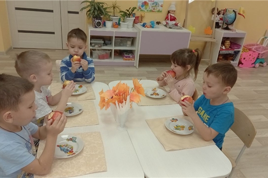 Яблоки полезны всем