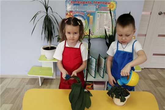 Посади цветок – укрась планету