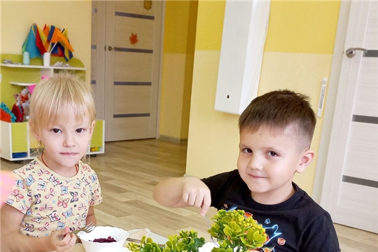 Рациональное питание