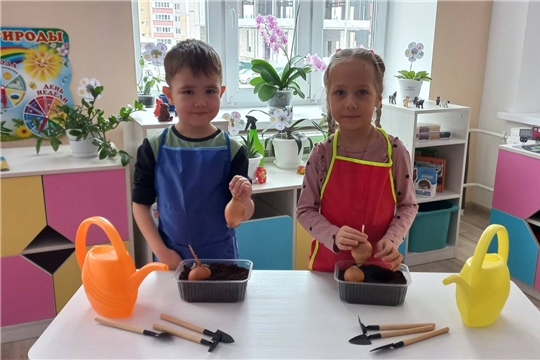Посадка лука