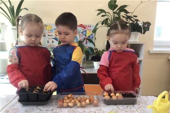 Посадка лука в младшей группе.