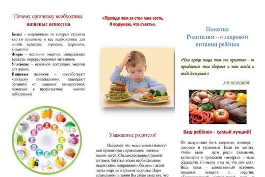 Памятка для родителей "Основы здорового питания детей"