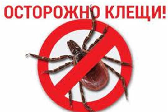 Консультация для родителей "Осторожно, клещи!"