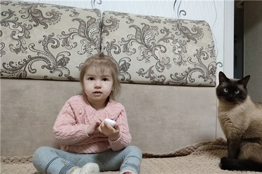 1 марта - День кошек в России: встречаем первый день весны вместе с пушистыми питомцами