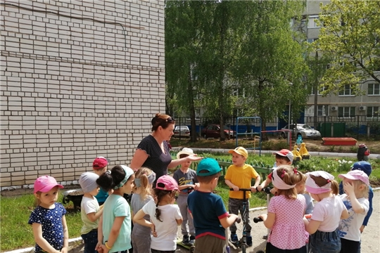 Безопасная езда на самокате