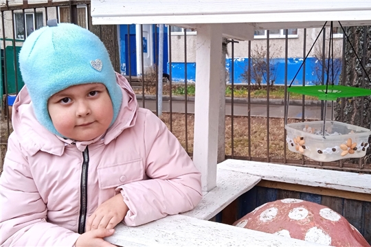 Покормите птиц зимой!