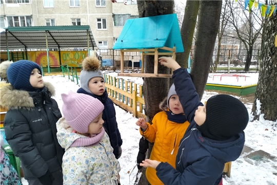 Организация и проведение подкормки зимующих птиц.
