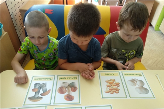 Грибная неделя