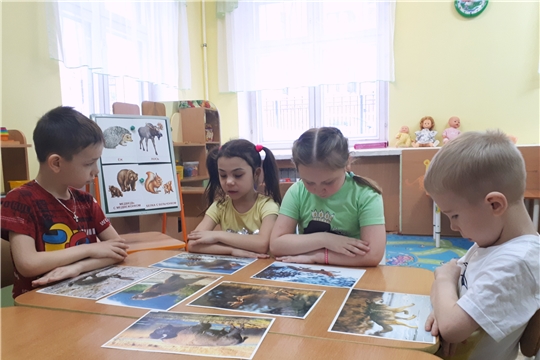 Тематическая неделя "Дикие животные"